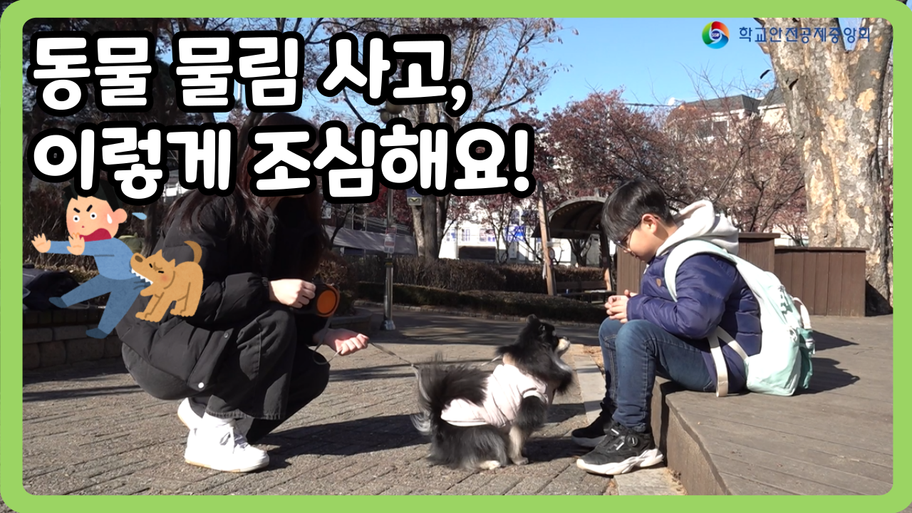 [초등 1~3학년] 동물 물림 사고, 이렇게 조심해요!  (일반,수어,화면해설)